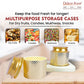 Multipurpose Storage Case (1 tray + 2 Containers)
