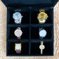 Luxury Watch Case (Black)